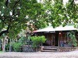 Petersfield Mountain Cottages