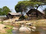 Ruaha River Lodge