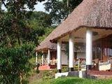 Chimpanzee Forest Guest House